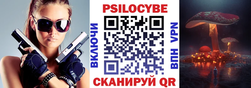 цена наркотик  Жирновск  гидра онион  Псилоцибиновые грибы Psilocybe 